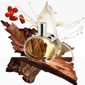 عطر بارينيا أو دو بارفيوم من هيرميس