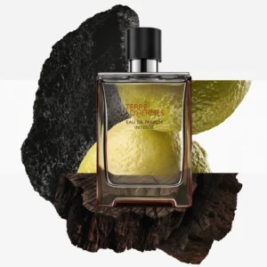 عطر تير دي هيرميس إنتنس أو دو بارفيوم من هيرميس